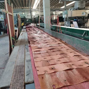 LVL Engineered Wood Beams thumbnail-4