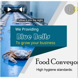 Meat and Seafood Blue Food Grade Belts thumbnail-1
