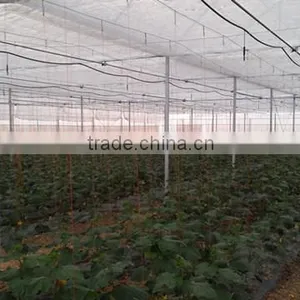 Large Green House Supplliers In China thumbnail-2