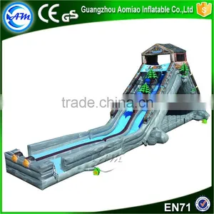 Hot Sale Crazy Giant Custom Slip n Slide Inflatable Pool Slide for Adult thumbnail-3