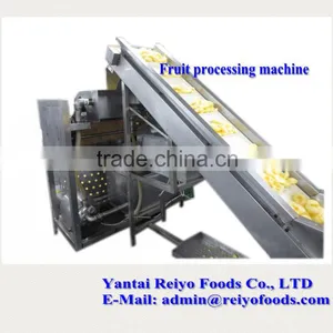 Impurity Removing and Cleaning Machine / Fruits and Vegetables Cleaning Machine thumbnail-1