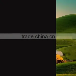 Factory Supply Hot Sale Adhesive Black Static Window Film thumbnail-4