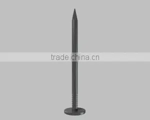 Galvanized or Polished Common Iron Nails(factory) thumbnail-5