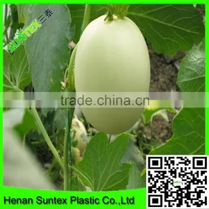 Heavy Duty Long-lasting Flexible Growing Vine Vegetables Support Net thumbnail-1