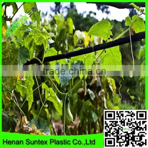 SUPER PLANT SUPPORTS NETTING MADE EASY GROW TENT NET thumbnail-6
