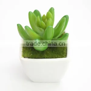 Wholesale Indoor Home Decoration Artificial Plant With Cement Flower Pot thumbnail-6