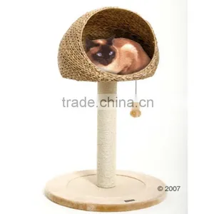 Animal House thumbnail-1