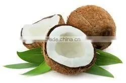 Husked and Semi Husked Coconut Exporter From India thumbnail-1