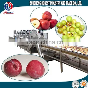 SGS Certificate Automatic Vegetable Washing Machine thumbnail-2