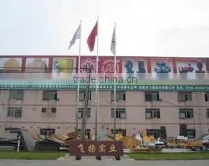 Guangdong Feiyang Industry Group Co., Ltd. company overview - view 1 thumbnail