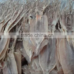 Dried Squid Seafood thumbnail-1