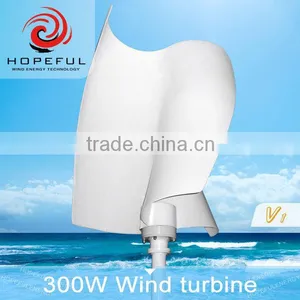 300w 12v Micro Wind Turbine Vertical Wind Turbine-generators Price thumbnail-1