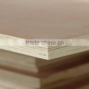 High Quality LVL From Shandong thumbnail-3
