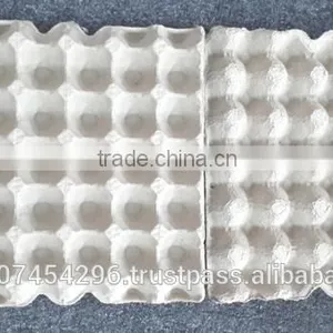EGG TRAY thumbnail-1