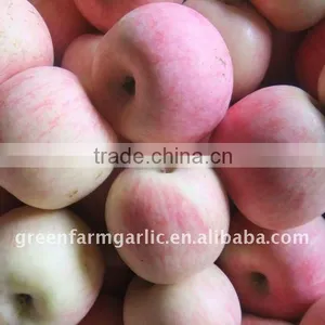 New Fresh Gala Apple thumbnail-1