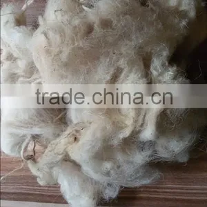 Good White Greasy Raw Sheep Wool Use for Carpet thumbnail-1