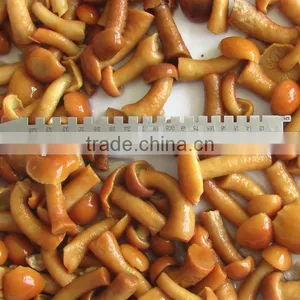 Nameko Salted 3100ml thumbnail-1
