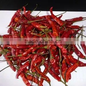 High-quality Tianyu Chilli With High Hot Degree thumbnail-1
