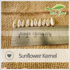 Best Selling Sunflower Seeds Kernel for Oil China Origin thumbnail-1