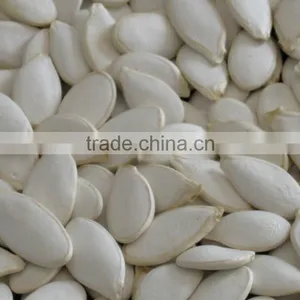 China Quality Supplier of Pumkin Seeds Shine Skin for Export Grade thumbnail-1
