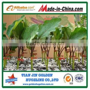 4-8mm Horticulture Expanded Perlite Mycorrhiza thumbnail-1
