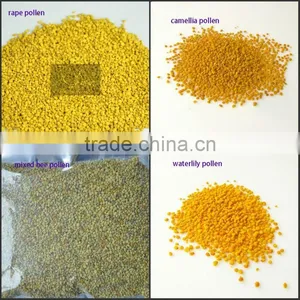 Mixed Pollen/bee Pollen/bee Bread From GMP Factory thumbnail-1