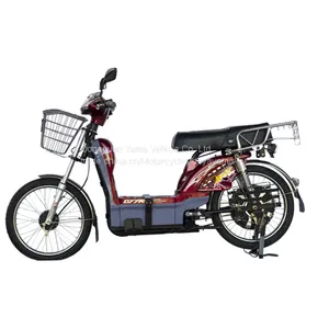 South Asia Market Cargo Loading Bike Electric Bike Electric Bicycle for Wholesale thumbnail-1