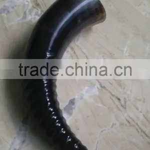 Polished Drinking Horn thumbnail-5