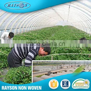 Manufacturer China Landscaping 100% Pp Spunbonded Nonwoven Fabric thumbnail-3