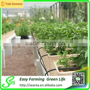 Holland Bucket Hydroponic System thumbnail-2