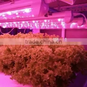 20W Led Grow Light Tube T8 Plant Grow Lamp Led thumbnail-2