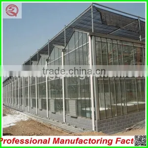 Commercial Steel Frame Venlo Polycarbonate Greenhouses for Sale thumbnail-5
