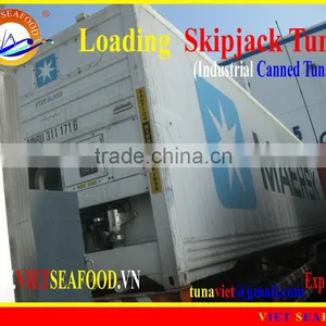 LOADING FROZEN SKIPJACK TUNA W/R thumbnail-1