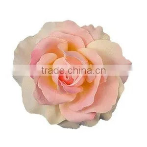 Rose thumbnail-1