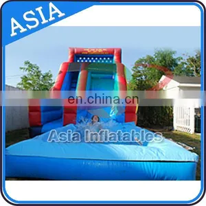 Double Lane Commercial Inflatable Water Slide, Pool Water Slide thumbnail-3