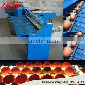 Hot Sale Egg Grader/egg Sorting Machine/egg Grading Machine thumbnail-2