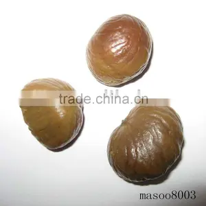 Peeled Roasted Chestnut thumbnail-1
