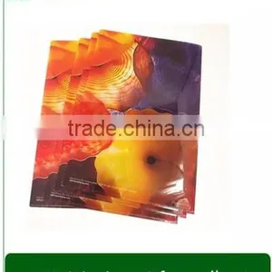 Offset Printing Printing Type and Plastic Product Material a4 File Folder Supplier's Choice thumbnail-2