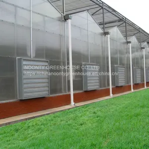 Economical Commercial Polycarbonate Sheet Greenhouse thumbnail-1