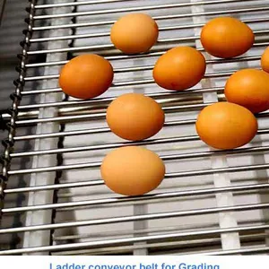 Ladder Conveyor Belts thumbnail-2