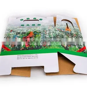 Professional Printing Fruit Carton Box Apples thumbnail-2