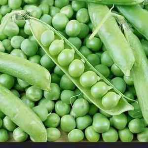 Genyond Factory Industrial Green Bean Pigeon Pea Peeling Equipment Peeling Machine Peeler thumbnail-3