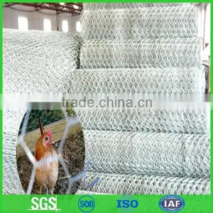 Small Hole Chicken Wire Mesh for Poultry thumbnail-1