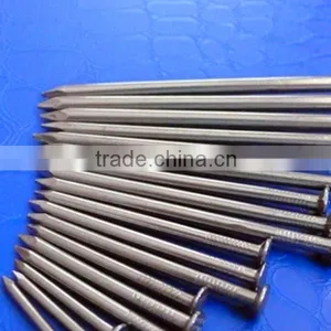 Galvanized Steel Common Nails With Factory thumbnail-1