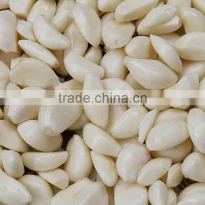 Commercial Electric Garlic Peeling Machine|Dry Type Garlic Clove Peeler Machine thumbnail-6