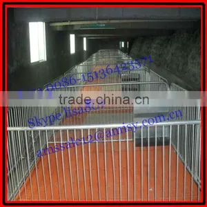 Piglet Breeding Equipment thumbnail-1