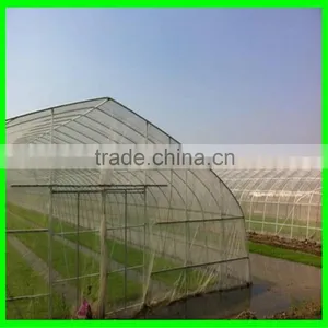 CLEAR ANTI INSECT NET thumbnail-4