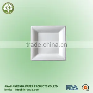 Disposable Sugarcane Pulp 8 Inch Paper Plate thumbnail-1