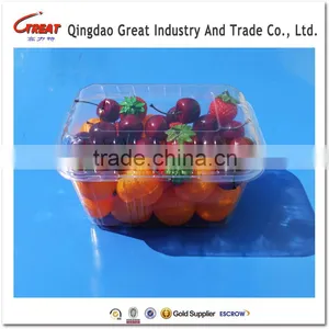Disposable Blister Plastic Small Tomato Fruit Container Packaging Box thumbnail-1