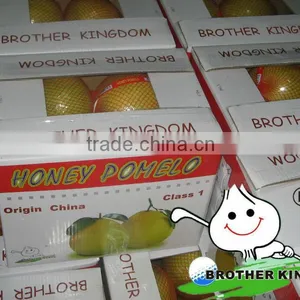 Fresh Fruit Pomelo Chinese Citrus Fruits Pomelo Juicy Fresh Pomelo thumbnail-1